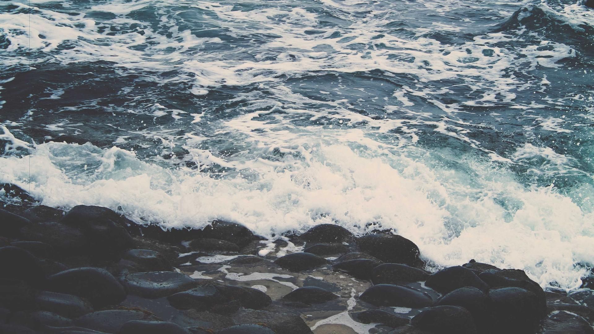 动力冲浪板在水面高速滑行